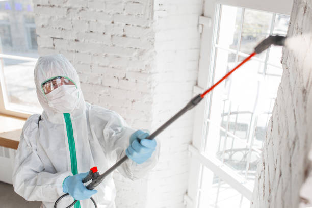 Forensic Mold Investigation in Ormond By The Sea, FL