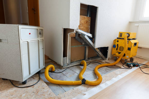 Best Forensic Mold Investigation  in Ormond By The Sea, FL
